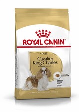 Royal Canin Cavalier King