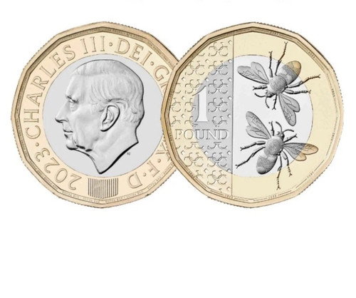 Coin hunt 2023 king charles - [coin,